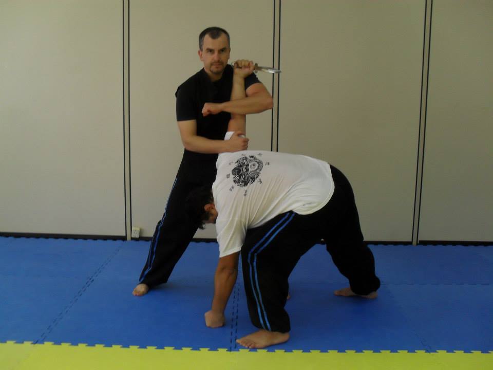 Beilong Kungfu e terapias